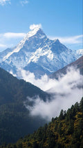 Petra L., Thun