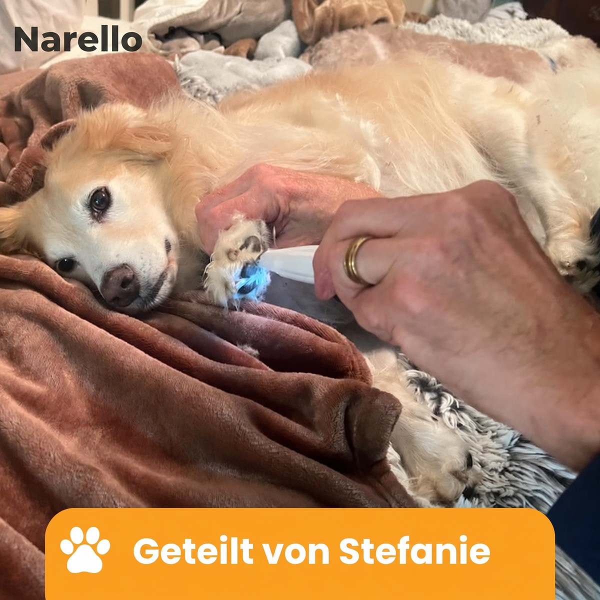 Narello PfotenTrimmer